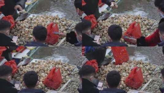 海鲜市场顾客挑选购买大螺采购海螺高清在线视频素材下载