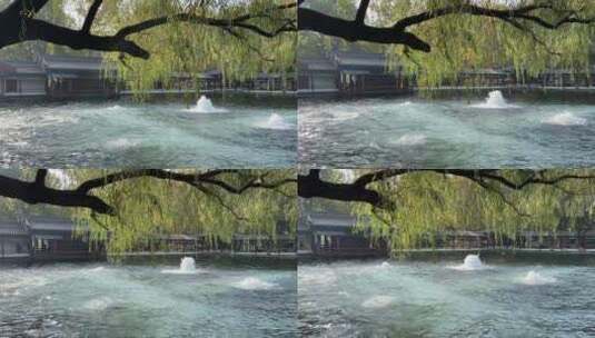 济南百脉泉景区，名泉水喷涌势头强劲高清在线视频素材下载