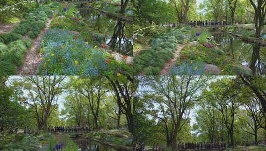 航拍·上海现实版莫奈花园｜共青森林公园4K高清在线视频素材下载