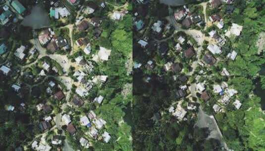 印度郊区热带森林中绿色高大树木中村庄的自上而下视图高清在线视频素材下载