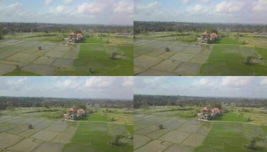 印度尼西亚巴厘岛阳光明媚的一天，稻田间乌布稻米寺的鸟瞰图高清在线视频素材下载