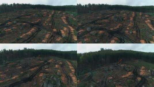 环境保护。森林破坏高清在线视频素材下载