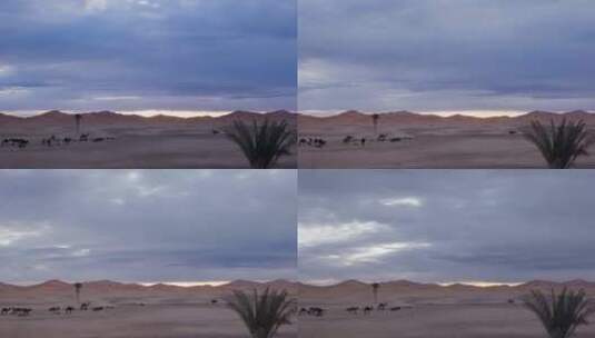 沙漠日出延时高清在线视频素材下载