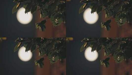 夜晚路灯街角月亮高清在线视频素材下载