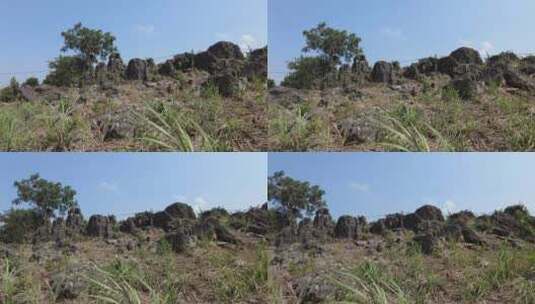 云南山区耕地农业种植高清在线视频素材下载