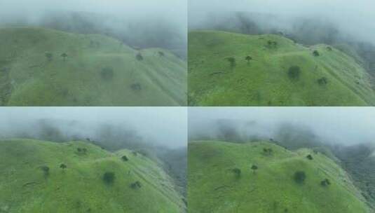 山川草原云海航拍云雾缭绕绿色山丘草地风光高清在线视频素材下载