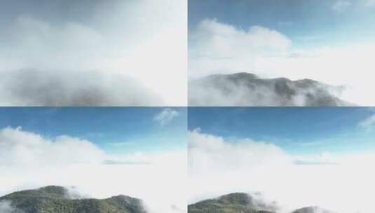 森林云海穿云高清在线视频素材下载
