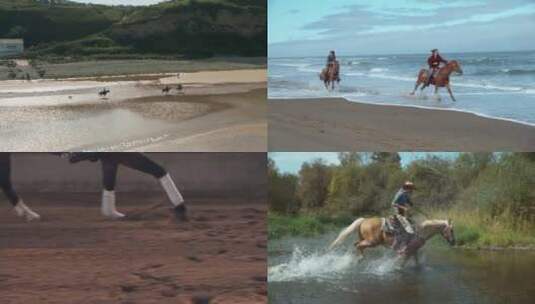 【合集】航拍海边沙漠骑马奔跑高清在线视频素材下载