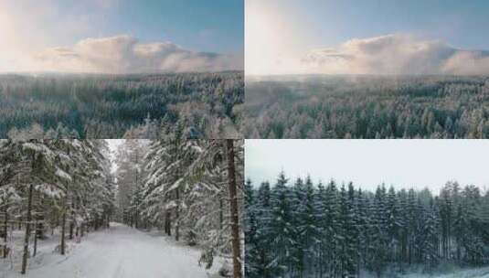 冬季冰雪森林航拍树林高清在线视频素材下载