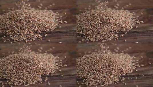 燕麦米五谷杂粮小麦高清在线视频素材下载