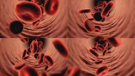 血液细胞在血管里活动高清在线视频素材下载