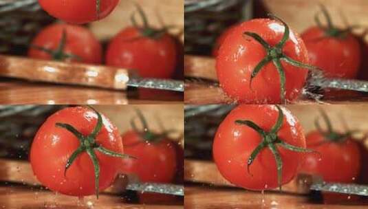 新鲜的番茄高清在线视频素材下载