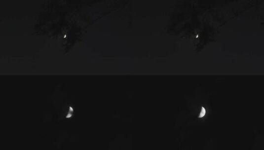 树梢中朦胧的月亮高清在线视频素材下载