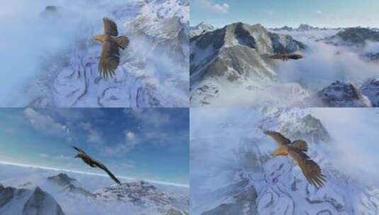 4K雄鹰飞过雪山高清在线视频素材下载