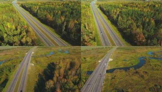 公路运输的卡车树林贯穿森林的道路高速公路高清在线视频素材下载