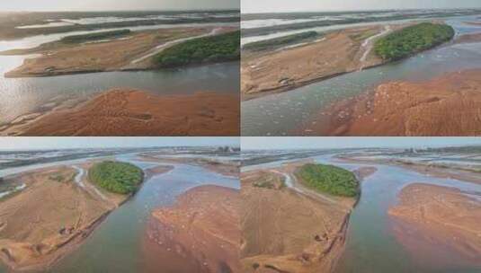 湛江乐民港红树林白鹭滩涂湿地保护区航拍高清在线视频素材下载