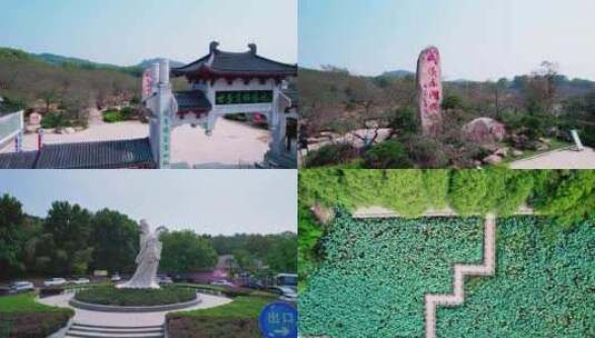 武汉_东湖樱花园航拍合集高清在线视频素材下载