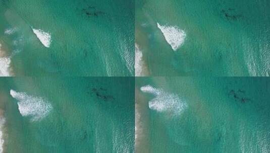 澳大利亚新南威尔士州拜伦湾贝隆吉尔海滩绿高清在线视频素材下载