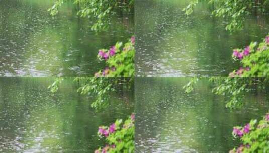 大雨雨水雨滴湖面波纹绿叶唯美意境高清在线视频素材下载