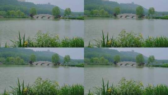 河南三门峡黄河公园春天风光4K高清在线视频素材下载