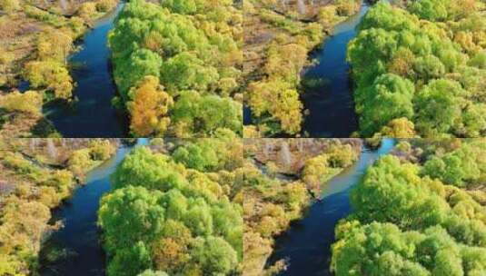 森林河流湿地大兴安岭秋季风景高清在线视频素材下载