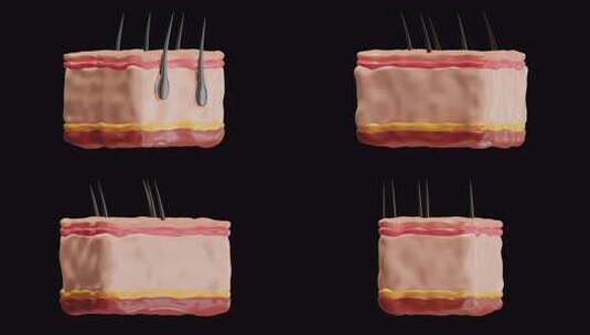 皮肤 3d 动画高清在线视频素材下载