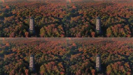 南京灵谷景区灵谷寺灵谷塔航拍高清在线视频素材下载