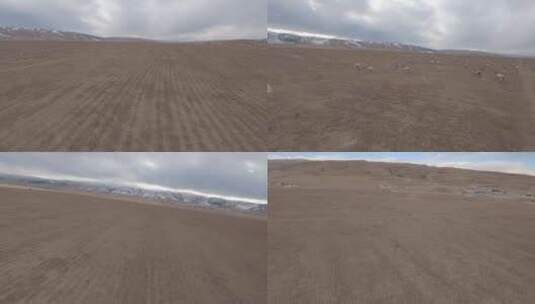 大草原牧场奔跑的羊群fpv穿越机航拍4K高清在线视频素材下载
