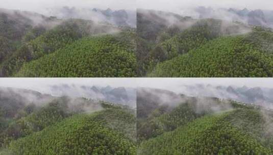 航拍森林自然风景云雾高清在线视频素材下载