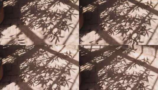 叶子的光影投射在地面上高清在线视频素材下载