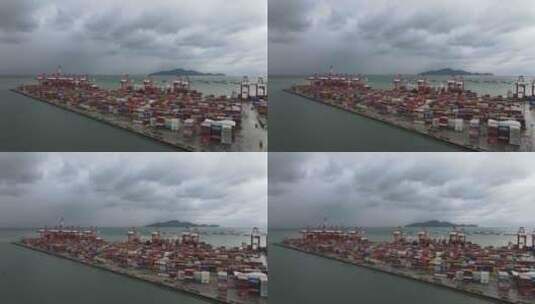 赤湾港 货运 码头 贸易 集装箱 赤高清在线视频素材下载