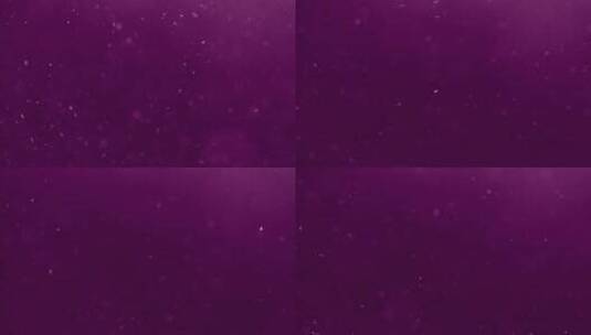 紫色背景下的漂浮粒子高清在线视频素材下载
