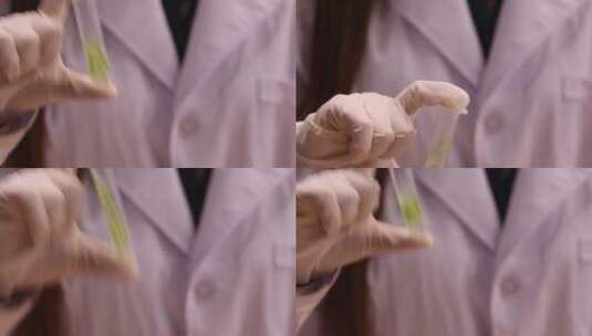 豆角中毒龙葵碱皂甙检测高清在线视频素材下载