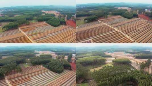 4k航拍广西南宁木业材料 3高清在线视频素材下载