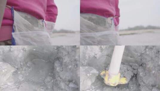 广东海滩赶海挖泥4高清在线视频素材下载