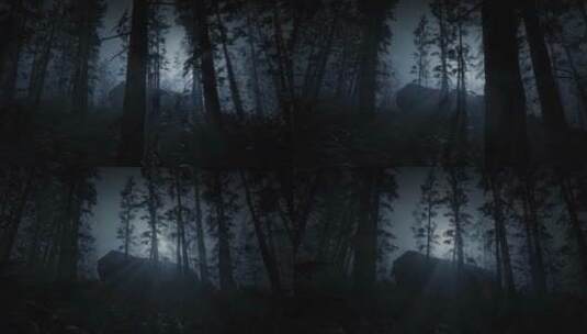 夜晚黑暗的森林高清在线视频素材下载