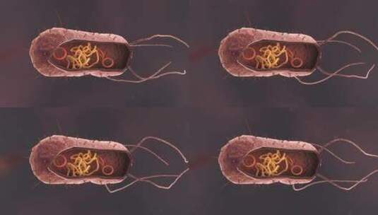 医疗病菌病毒细菌分子病原体生物三维动画高清在线视频素材下载