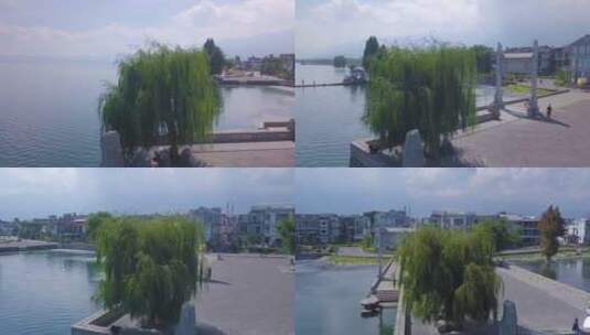 4K云南大理洱海龙龛码头柳树绕点航拍高清在线视频素材下载