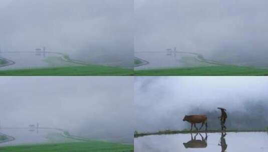 云雾缭绕的山村里老民牵着老黄牛高清在线视频素材下载