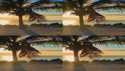 竖屏海边日落椰子树阳光唯美高清在线视频素材下载