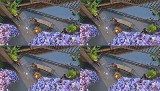 唯美古筝花瓣飘落三维镜头高清在线视频素材下载