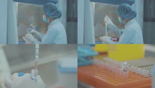 高级实验室生物科技基因研究场所高清在线视频素材下载