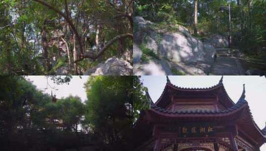 杭州吴山景区江湖汇观4K视频合集高清在线视频素材下载
