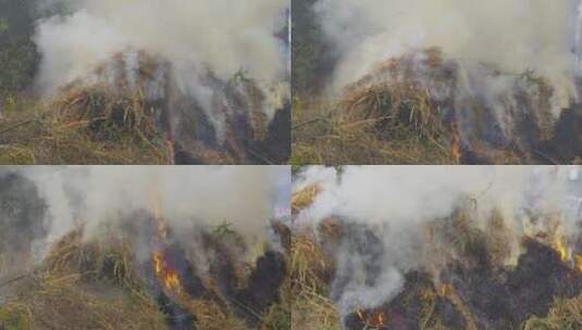 稻草秸秆焚烧浓浓烟雾污染环境高清在线视频素材下载