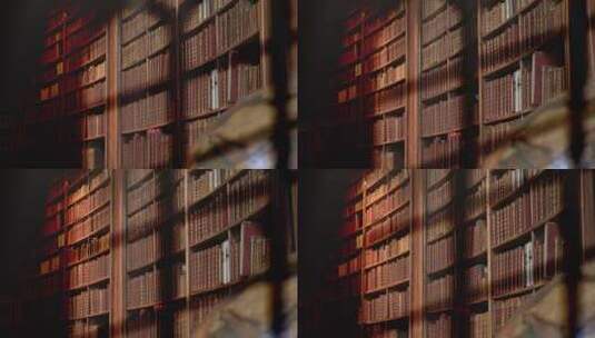 国外图书馆 魔法 书籍 古籍文献高清在线视频素材下载
