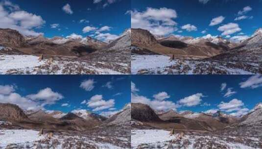 川西阿坝莲宝叶则冬季风景高清在线视频素材下载