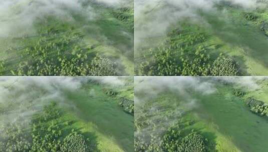 航拍云雾缭绕的绿色山脉高清在线视频素材下载