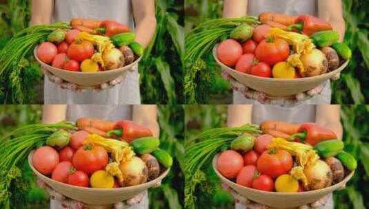 端起一盆新鲜蔬菜高清在线视频素材下载