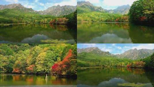 大好河山祖国风光湖泊湖面波光粼粼森林树木高清在线视频素材下载