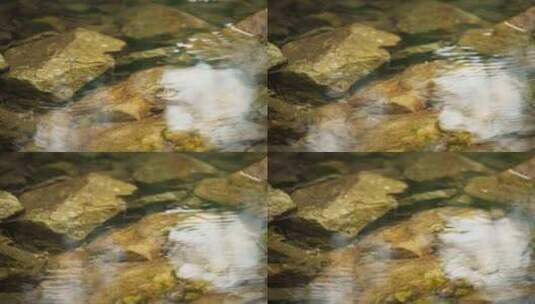 秋天清晨森林泉水清澈小溪高清在线视频素材下载